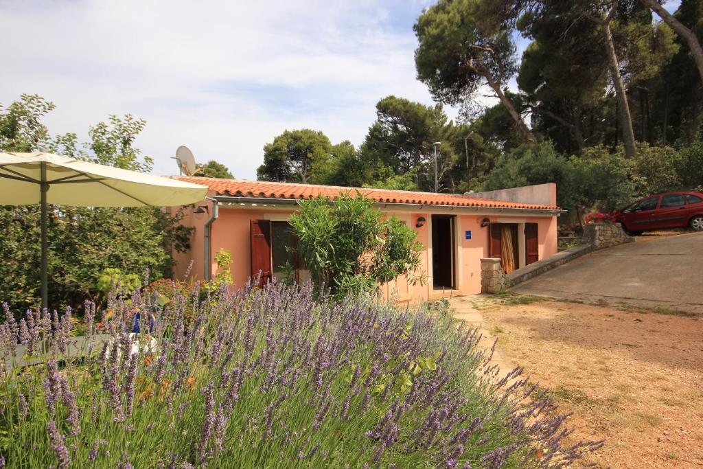 a house with a field of lavender in front of it at Apartment Veli Losinj 8029b in Veli Lošinj