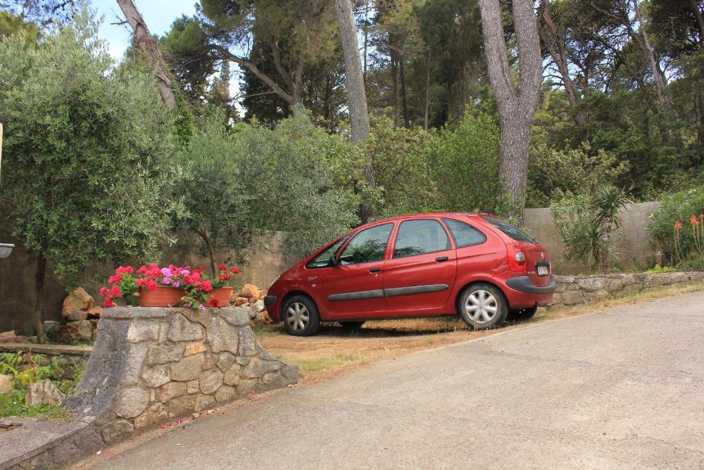 Vonkajšia záhrada v ubytovaní Apartment Veli Losinj 8029b