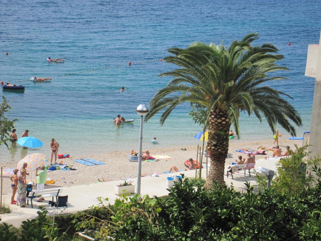 einen Strand mit Palme und Menschen im Wasser in der Unterkunft Holiday Home Mona in Igrane