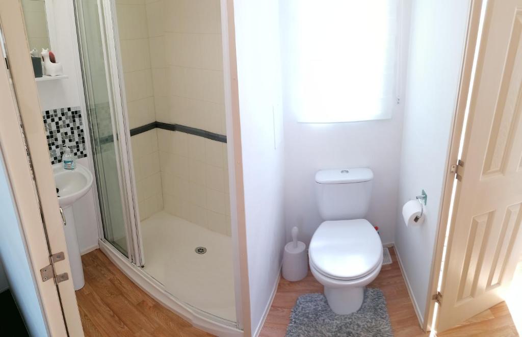 a small bathroom with a toilet and a shower at CORNWALL CORNWALL CHAPMANSWELL CARAVAN HOLIDAY PARK -A 30 Bed and breakfast B & B in Launceston