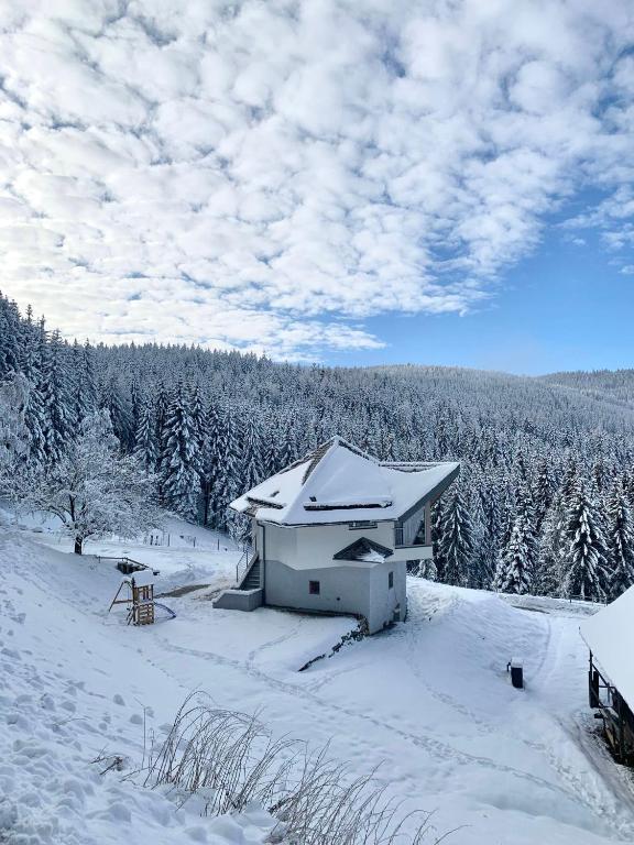 Forsthaus Gray 4 v zimě