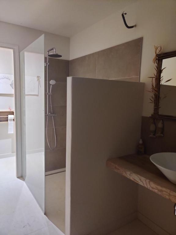 a bathroom with a shower and a sink at chambre d&#39;hôtes Et Puis Voilà! in Murs