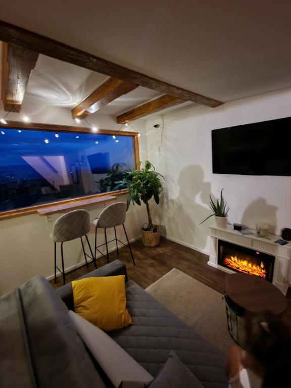 TV a/nebo společenská místnost v ubytování Lunela estate with sauna