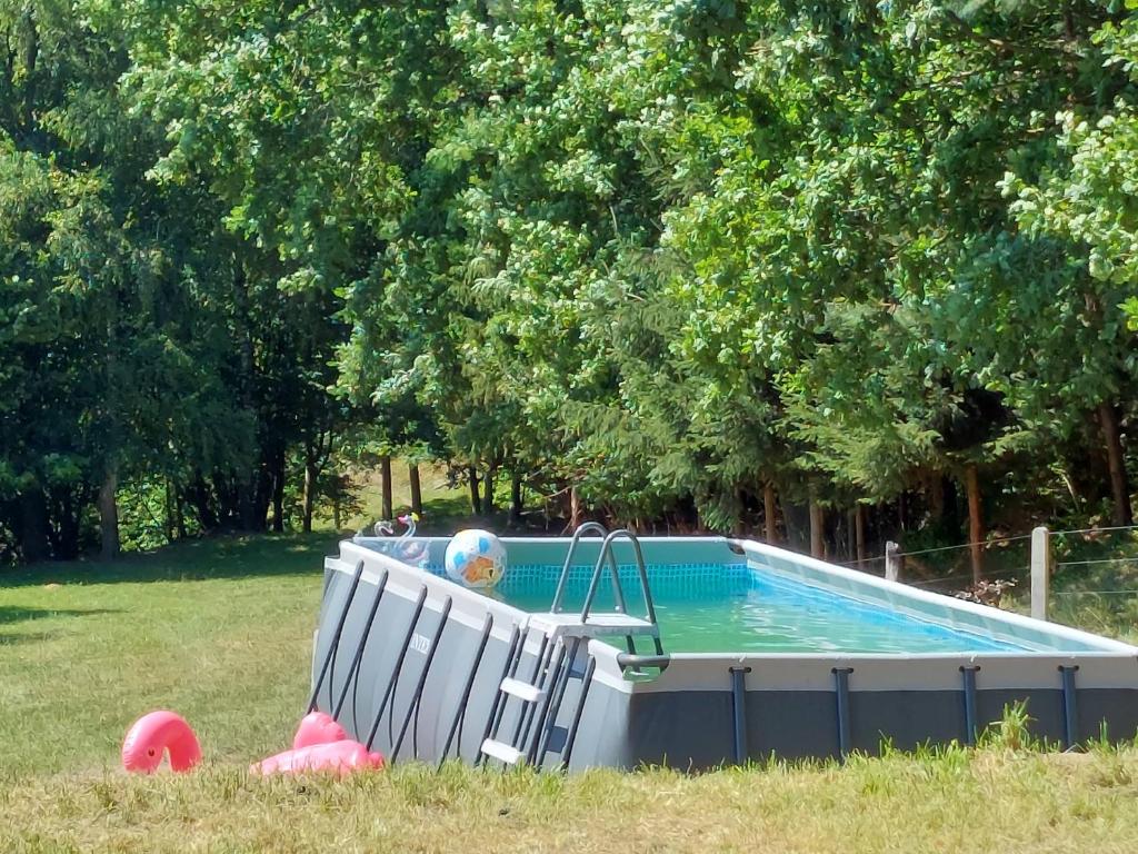 a pool in a yard with a ball in it at Ekolandia in Orneta