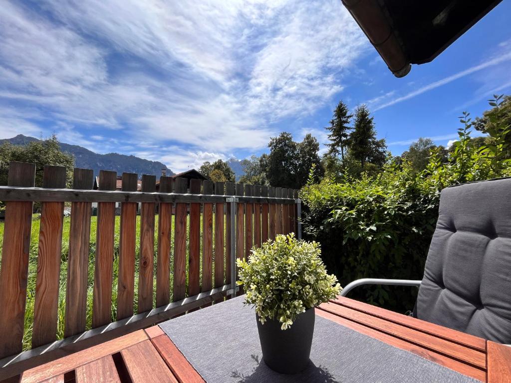 a wooden bench with a potted plant on a deck at Ferienhaus Schwangau in Schwangau