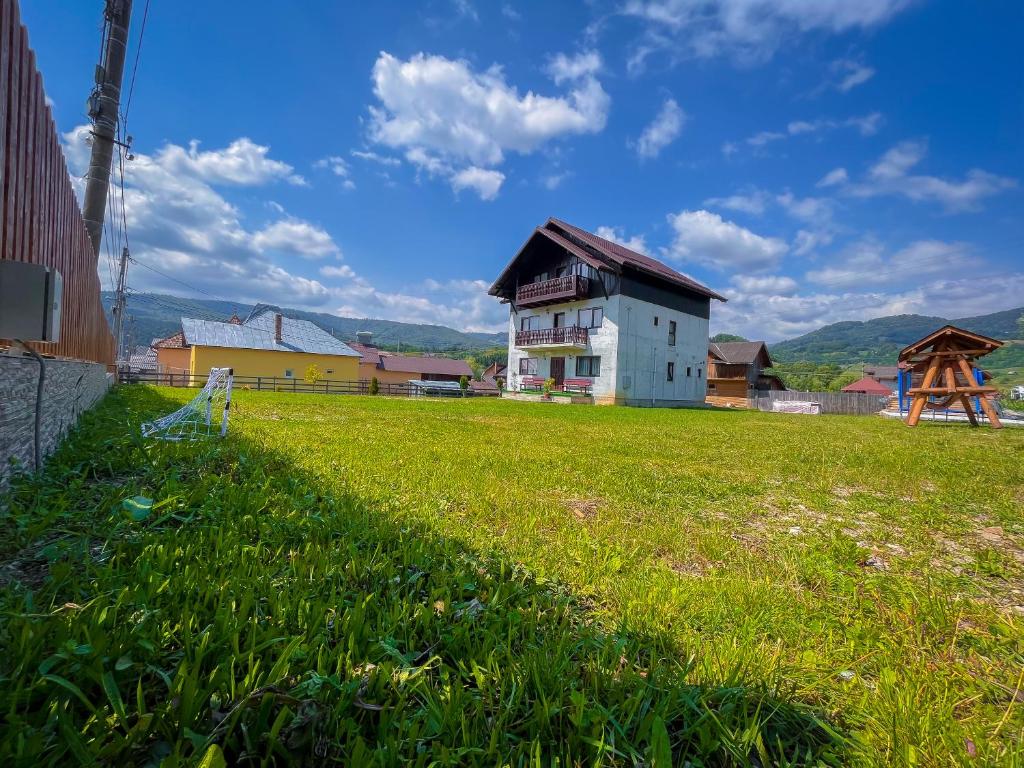 a house sitting on top of a lush green field at Casa BiaFlor in Rucăr