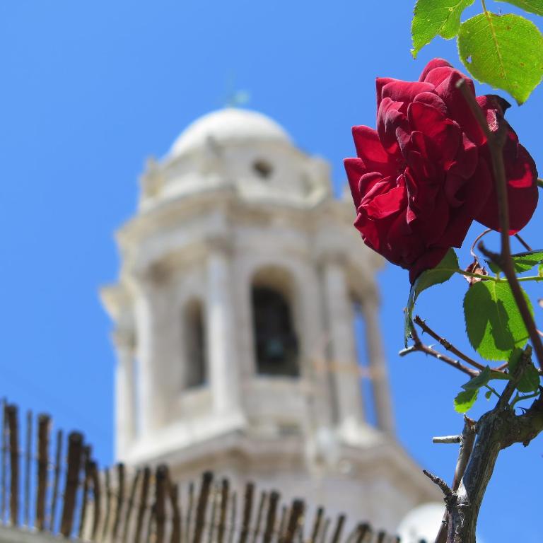Fotografie z fotogalerie ubytování Casa Piratas y Mina v destinaci Cádiz