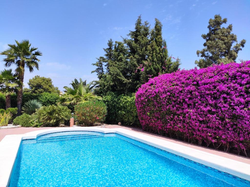 una piscina frente a un seto de flores púrpuras en Villa with Private Pool, BBQ, Fitness Center & Sauna en San Vicente del Raspeig