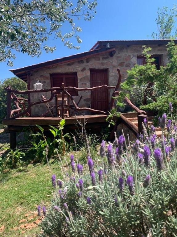 Zahrada ubytování Pachamama cabañas en la montaña