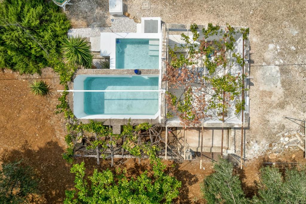 una vista sul tetto di una piscina con piante di Casa Vacanza Don Giulio 37 a Francavilla Fontana