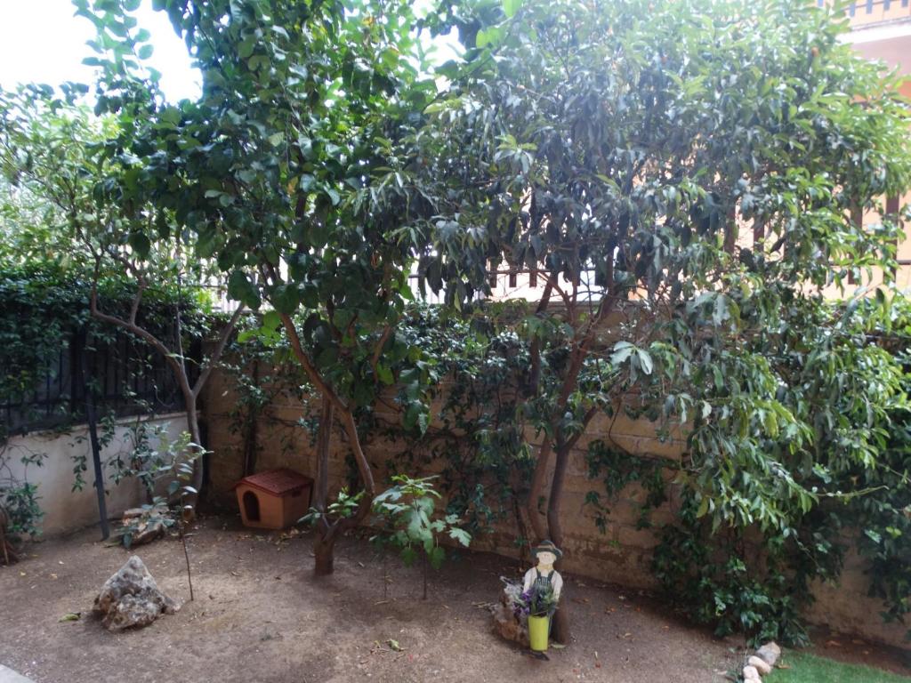 A garden outside A casa di Delia - stazione Fidene