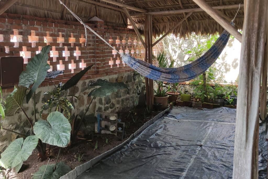 un hamac suspendu à un bâtiment en brique orné de plantes dans l'établissement Maison dans le quartier historique de St Laurent Résidence Colibri, à Saint-Laurent du Maroni