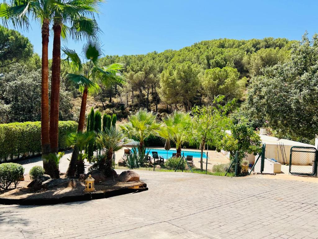 a resort with a swimming pool and palm trees at Villa ALJARAL, Espectacular,piscina,chimenea, climatización, wifi in Córdoba