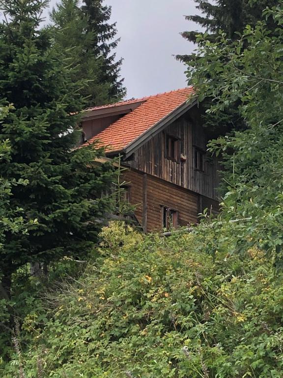 ヴォルフスベルクにあるHaus Hannaの木立の丘の上の古木家