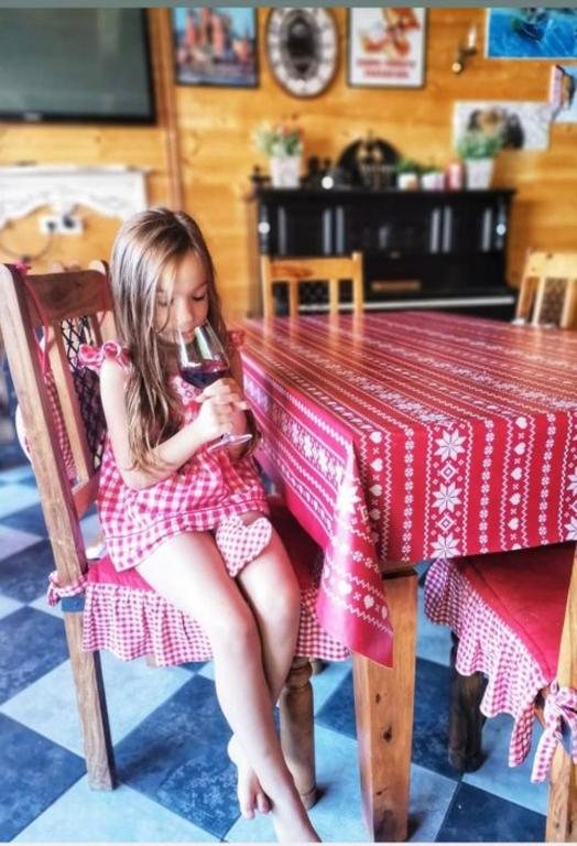 a little girl in a dress sitting at a table at Brvnare Mrkic in Kremna