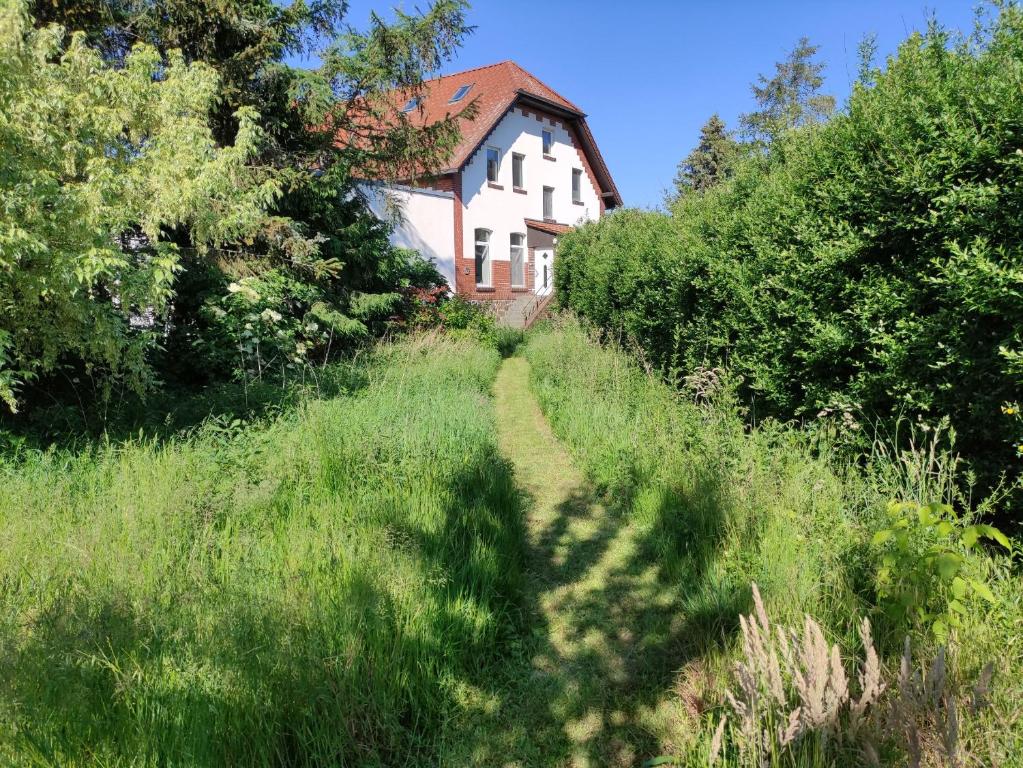 una casa en medio de un campo de hierba en Ferienhaus Erna, en Doberlug-Kirchhain