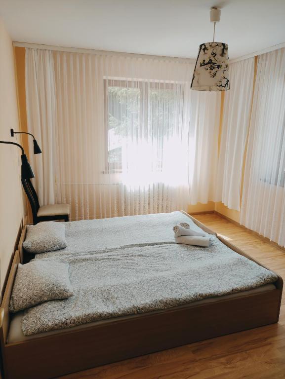 1 dormitorio con 2 camas y ventana en Agroturystyka w dolinie, en Żegiestów