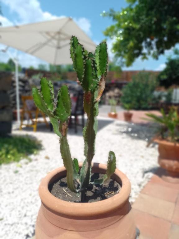 Fotografie z fotogalerie ubytování B&B CasaNera v destinaci Riposto