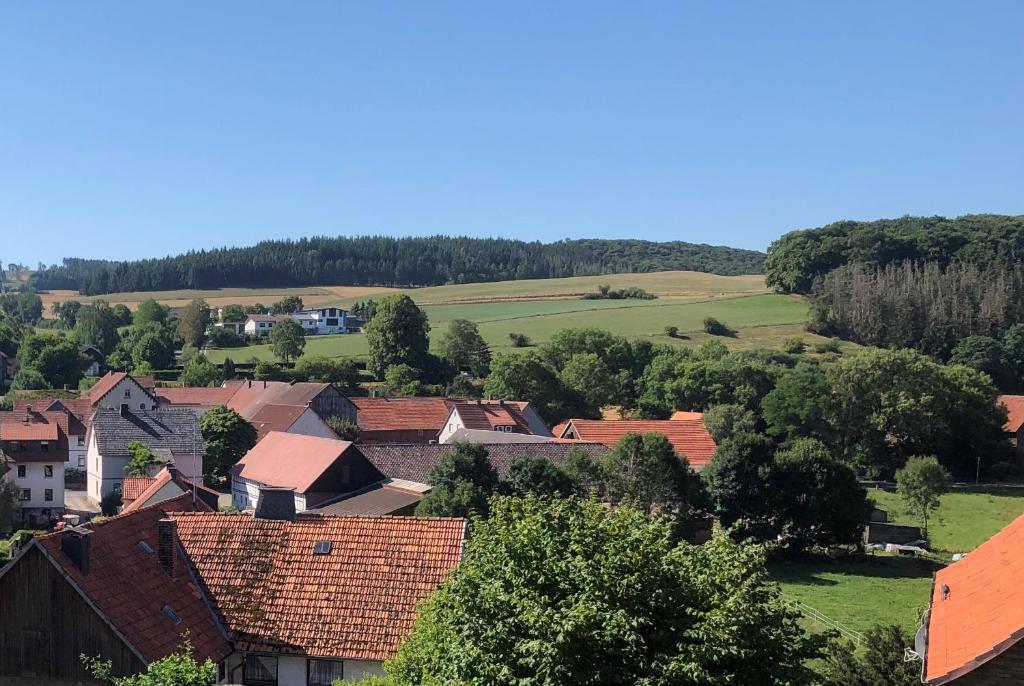 Příroda nedaleko prázdninového areálu