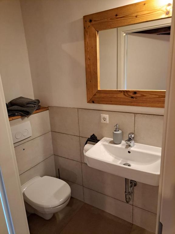 a bathroom with a toilet and a sink and a mirror at Pension Müllers Mühle in Großenhain