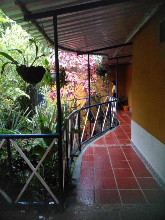 Balkón nebo terasa v ubytování montecarlos hotel
