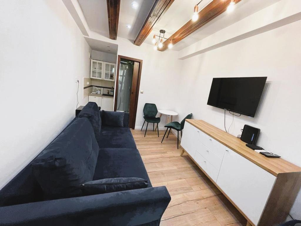 salon z niebieską kanapą i telewizorem z płaskim ekranem w obiekcie Strumykowa 19 - Old Town w Toruniu