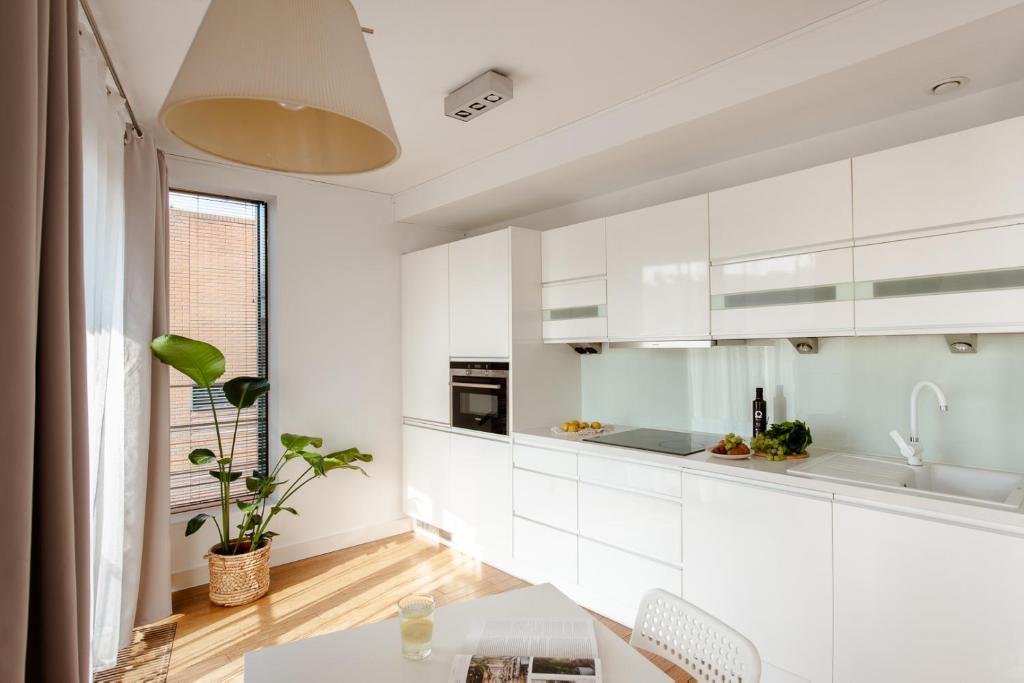 Kuchyňa alebo kuchynka v ubytovaní Spacious apartment close to Main Station / Galeria Krakowska