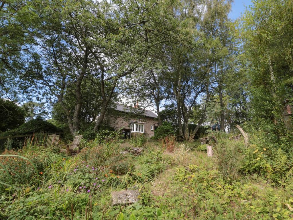 uma casa no meio de um campo com árvores em West Burnbank em Hexham