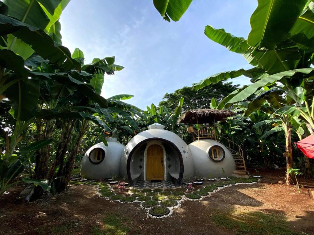 une maison au milieu d'une plantation de bananes dans l'établissement Adorable Dome House, à Puerto Princesa