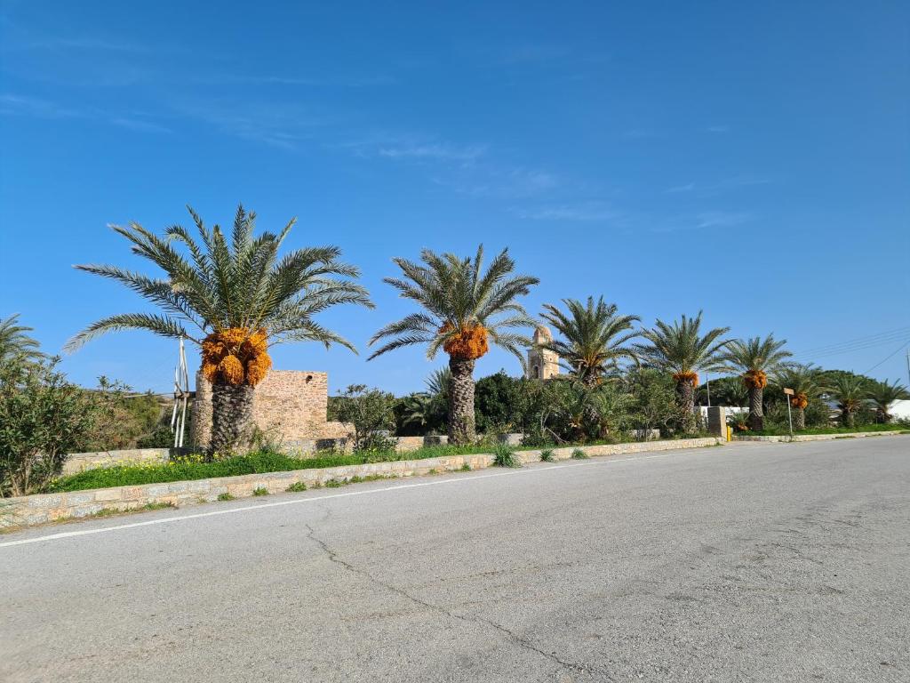 Fotografie z fotogalerie ubytování Olivar Suites v destinaci Palekastro