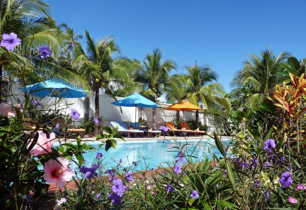 Hồ bơi trong/gần Grace Boutique Resort