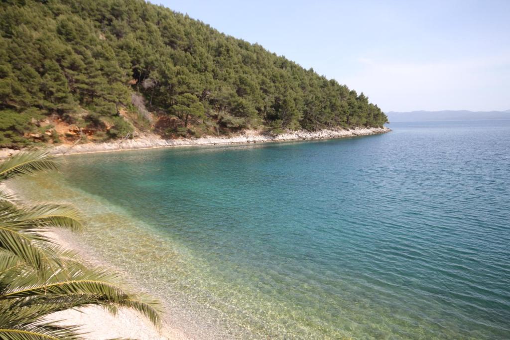 Fotografie z fotogalerie ubytování Seaside secluded apartments Cove Smokvina, Hvar - 9501 v destinaci Bogomolje