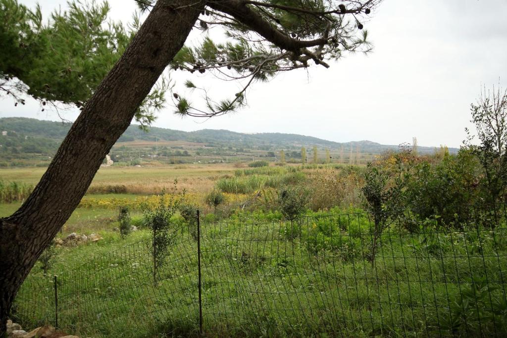 Příroda nedaleko apartmánu