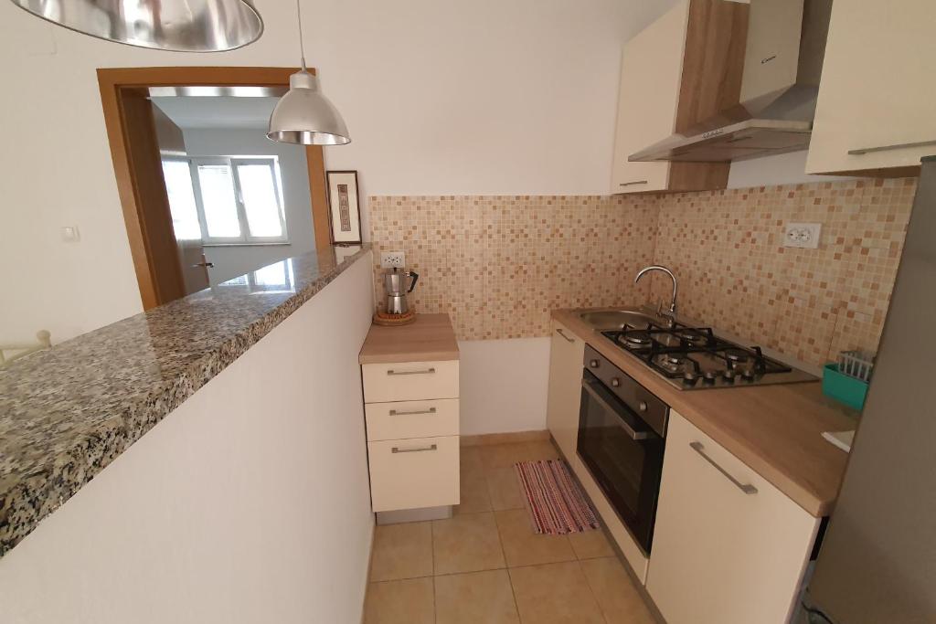 Kuchnia lub aneks kuchenny w obiekcie Apartment Zubovici 9365b