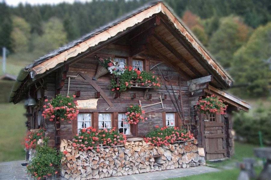 Un modelo de casa con flores. en Le P'ti Tzi-Mé, en Villars-sur-Ollon