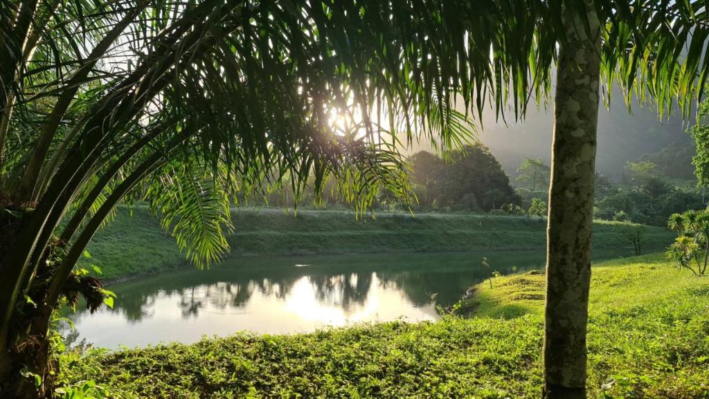 Phu Siab Mhok@KhaoSok - 14