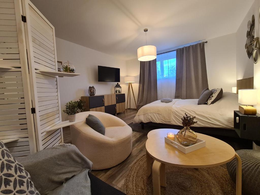 Televízia a/alebo spoločenská miestnosť v ubytovaní La suite Volupté - SPA du Souffle du Saule