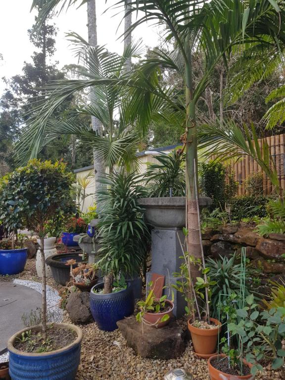Zahrada ubytování Mapleton Peaceful Provence BnB