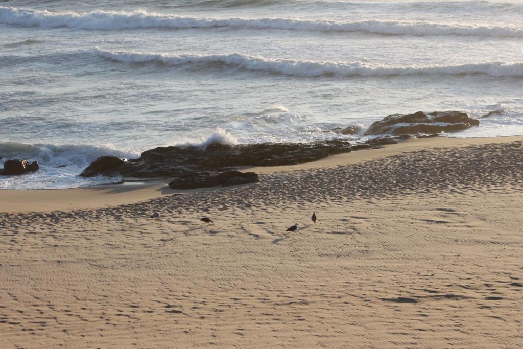 Hotel Quasar - Resim 36