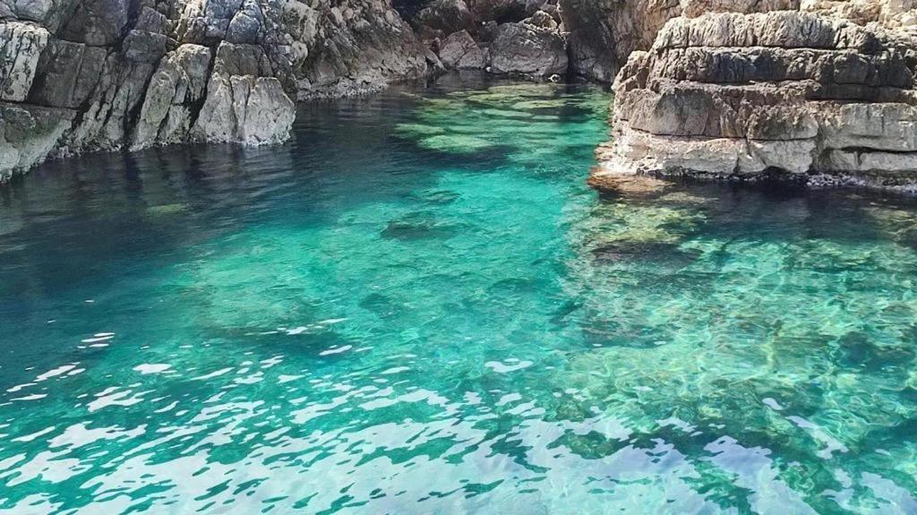 Fotografia z galérie ubytovania Maria’s v destinácii Zadar