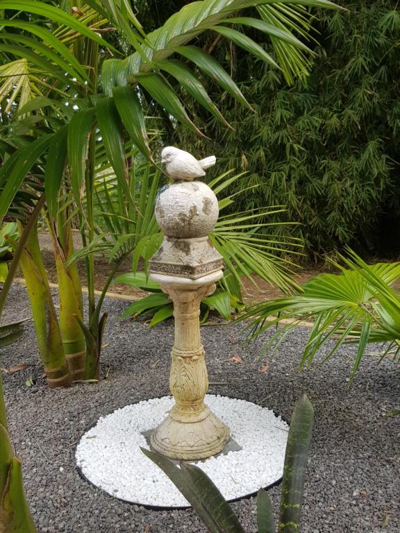 Zahrada ubytování Mapleton Peaceful Provence BnB
