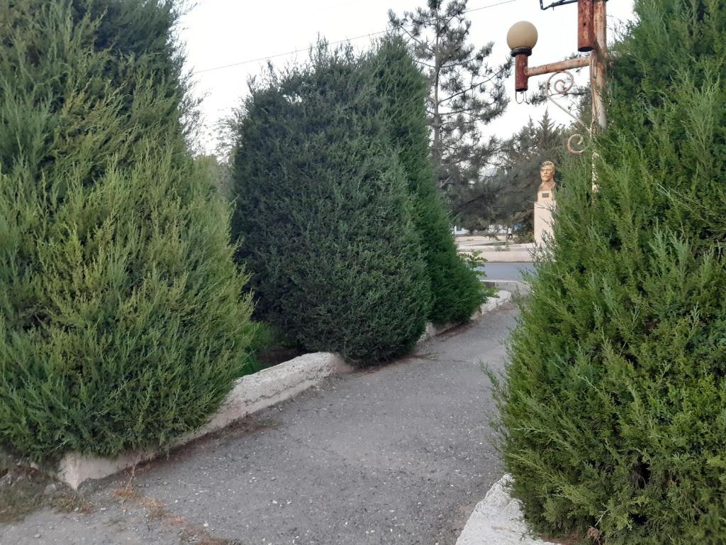 Zahrada ubytování Azimut