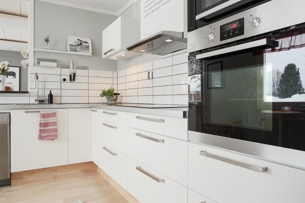 Kuchyň nebo kuchyňský kout v ubytování RIBO Apartment Arctic