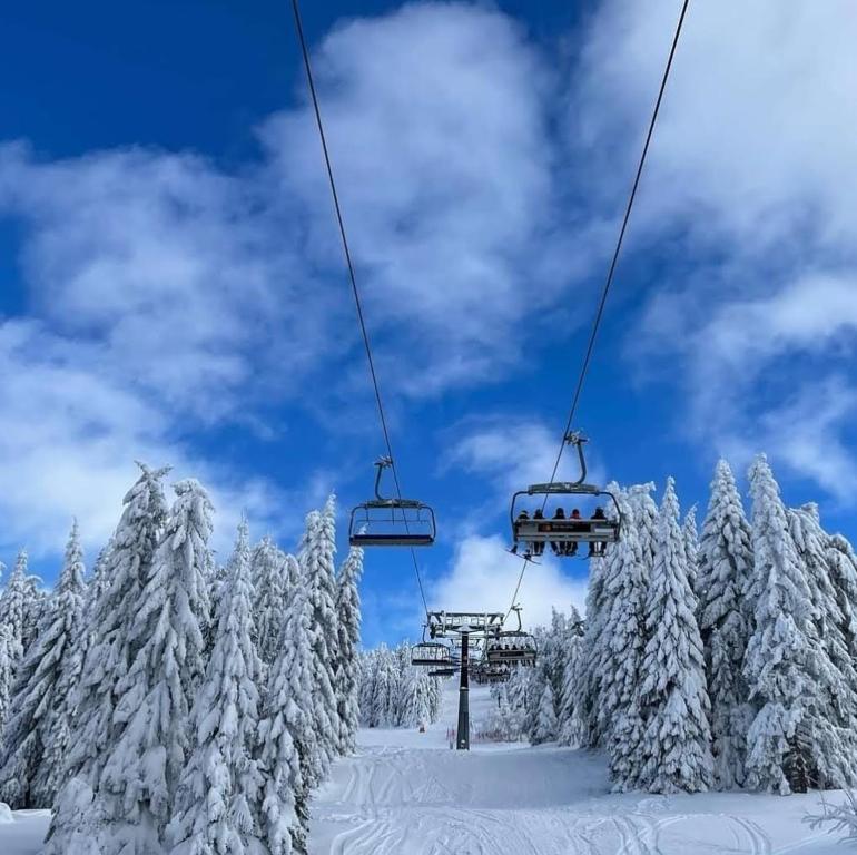 a ski lift with snow covered trees at Apartman Skyline Kopaonik in Kopaonik