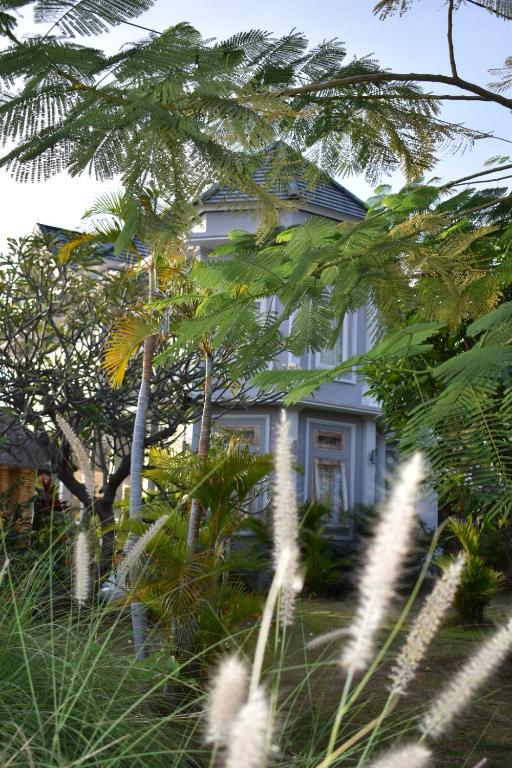 Zahrada ubytování Villa Reva Bali