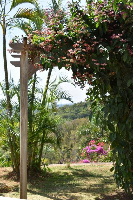 Zahrada ubytování Villa Reva Bali