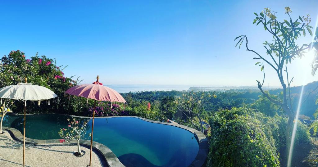 a swimming pool with an umbrella and a view at Villa Reva Bali in Temukus