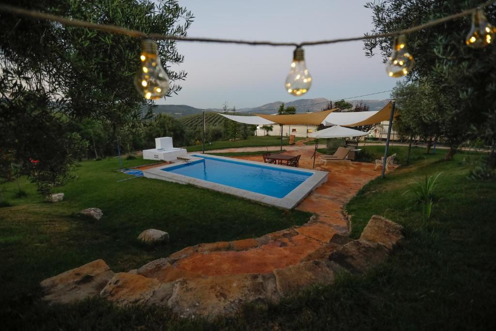 una piscina en un patio con luces en Cortijo Botánico el Cerro, en Cabra