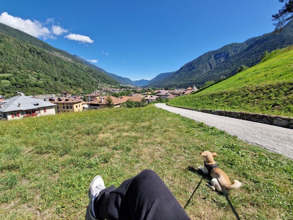 Příroda nedaleko apartmánu