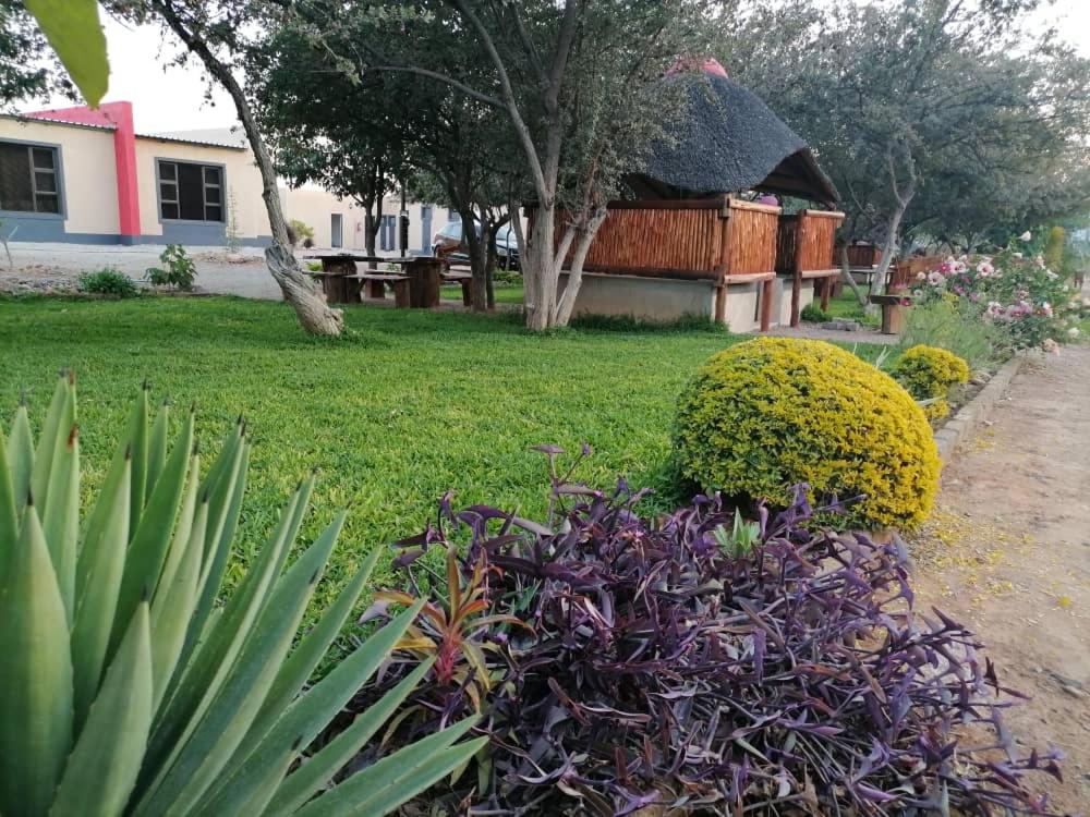 un jardín con plantas púrpuras y una casa de fondo en Royal guesthouse en Opuwo